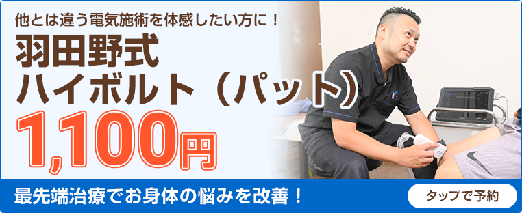 羽田野式ハイボルト（パッド）